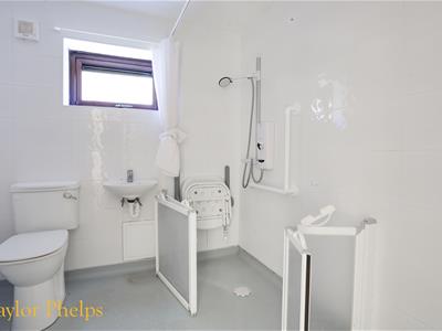 Picture 5